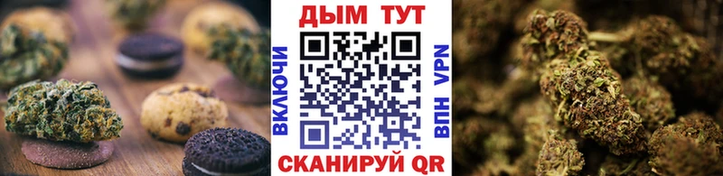 Canna-Cookies марихуана  Навашино 