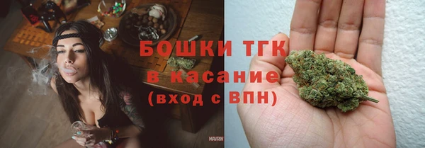 крисы Нея