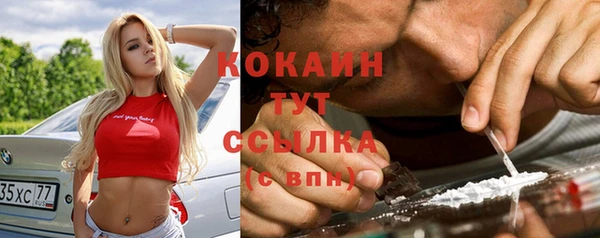 крисы Нея